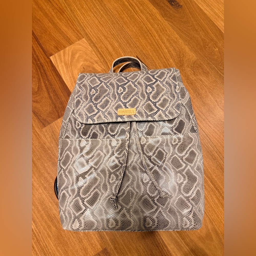 Consuela Dizzy Backpack - image 1
